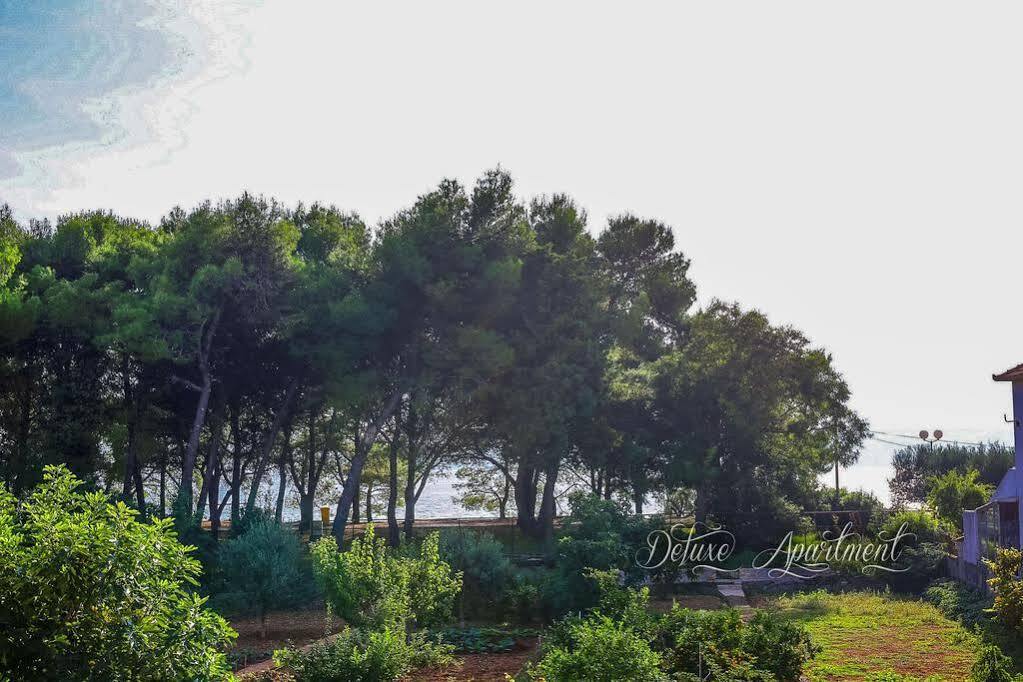 Apartments & Rooms Hosana Zadar Ngoại thất bức ảnh